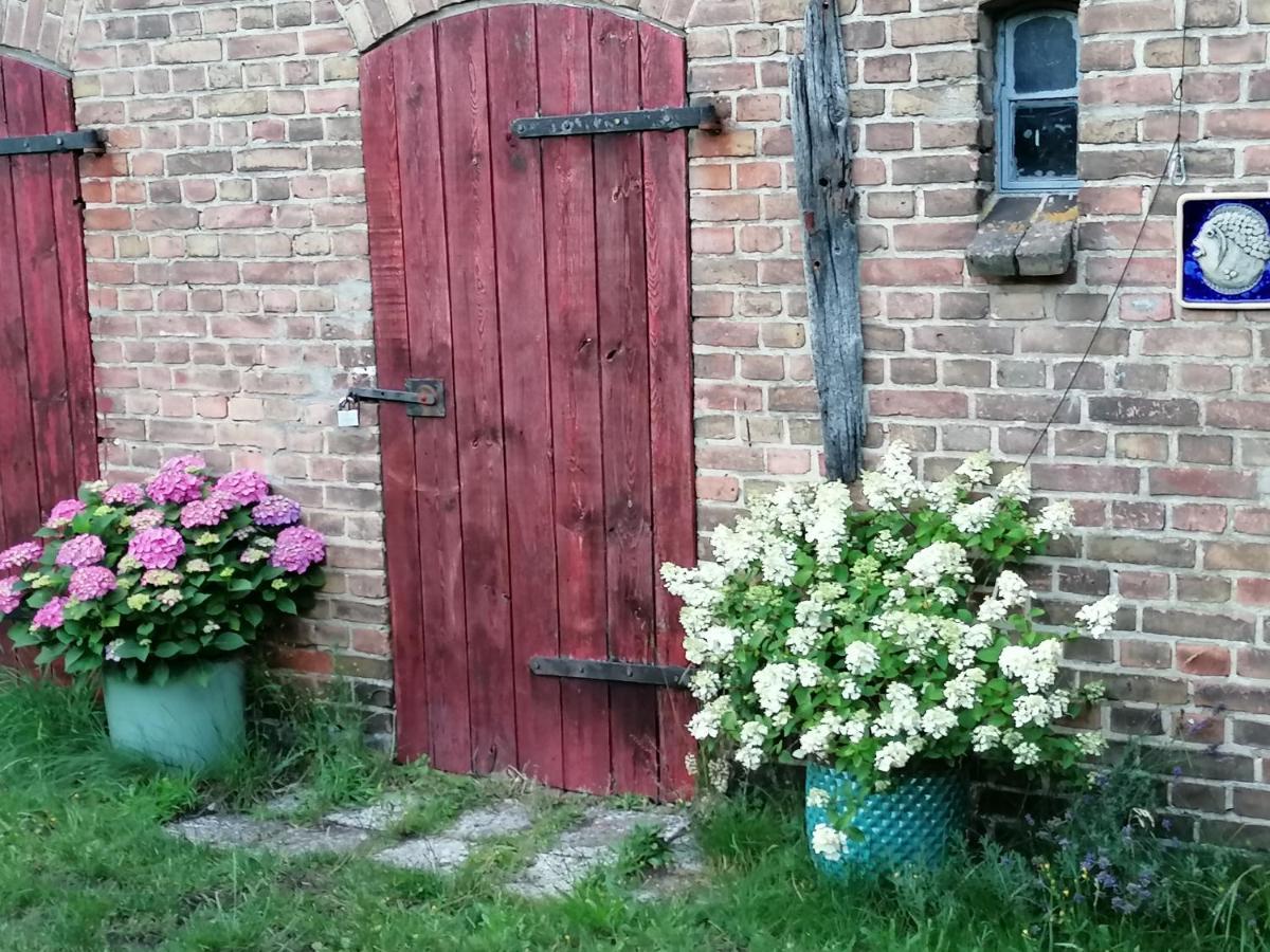 Gaestewohnung Schwanenteich Ueckermünde Zewnętrze zdjęcie