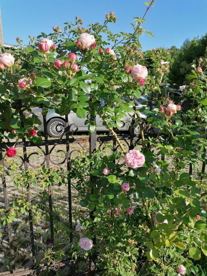 Gaestewohnung Schwanenteich Ueckermünde Zewnętrze zdjęcie